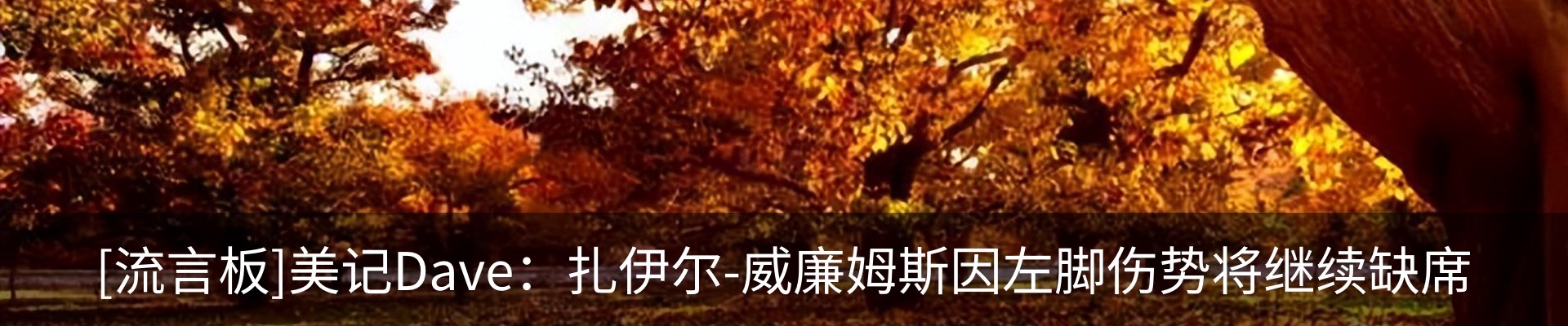 新闻动态
